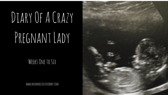Diary of a Crazy Pregnant Lady - Weeks 1 to 6 - Image (c) mummalifelovebaby