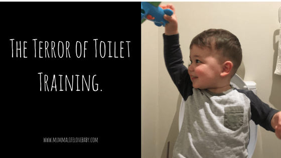 The Terror of Toilet Training